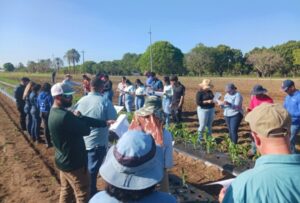 Clínica de Diagnóstico de Plantas de la EEA de Juana Díaz obtiene acreditación del NPDN