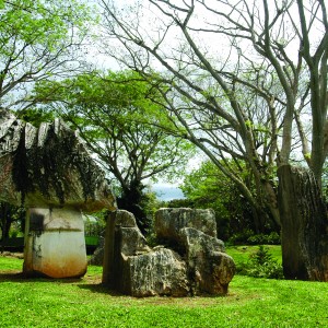 Jardín Botánico – Fotos y videos