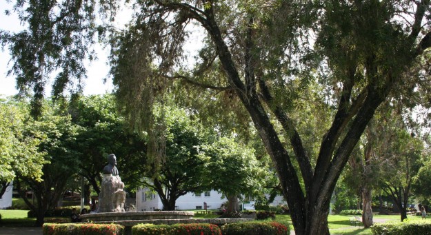 Arranca en UPR Cayey evento internacional para combatir el sedentarismo