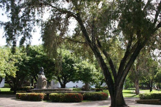 Arranca en UPR Cayey evento internacional para combatir el sedentarismo