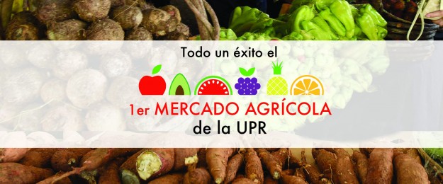 slider wordpress mercado slider wordpress mercado