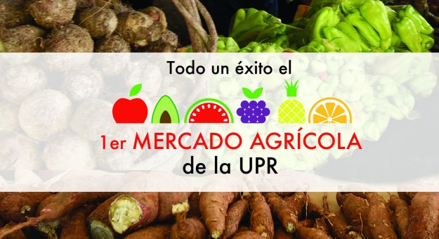 slider wordpress mercado