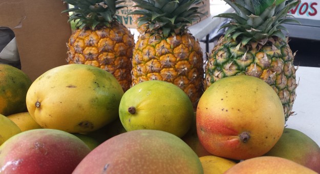 Mercado Agrícola y Artesanal este sábado en UPR-Cayey