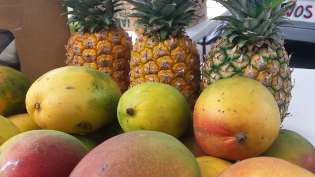 Mercado Agrícola y Artesanal UPR-Cayey Mercado Agrícola y Artesanal este sábado en UPR-Cayey