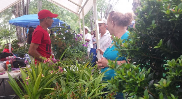 Clínicas de salud y vacunación en Mercado Agrícola UPR Cayey