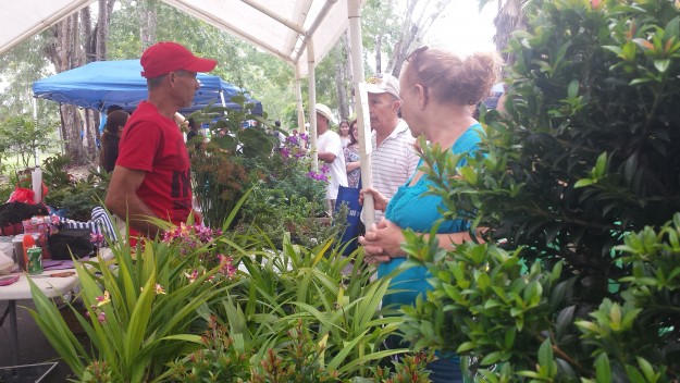 Mercado Agrícola UPR Cayey Clínicas de salud y vacunación en Mercado Agrícola UPR Cayey