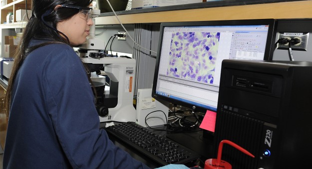 Se consagra la UPR como líder en investigación científica