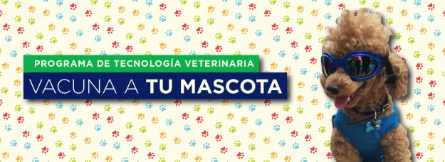 Slider vacunación mascotas RCM Slider vacunación mascotas RCM