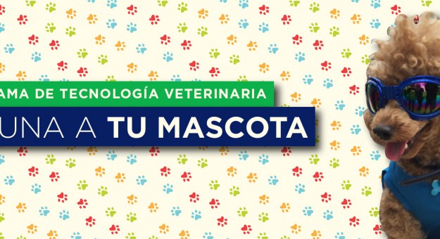 Slider vacunación mascotas RCM