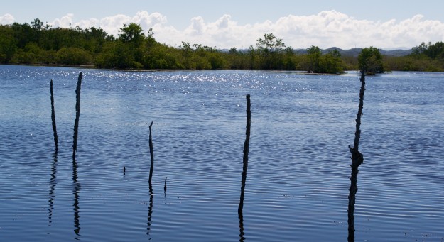 Caño Tiburones en Arecibo