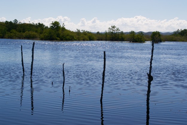 Caño Tiburones en Arecibo Caño Tiburones en Arecibo