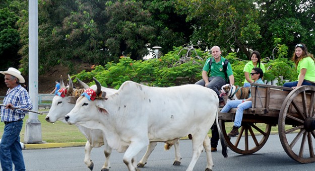 Cinco Días con nuestra Tierra