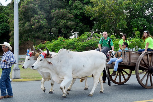 Cinco Días con nuestra Tierra Cinco Días con nuestra Tierra
