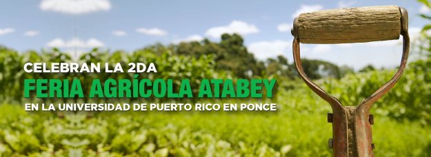 Slider atabey PONCE-01 Slider atabey PONCE-01