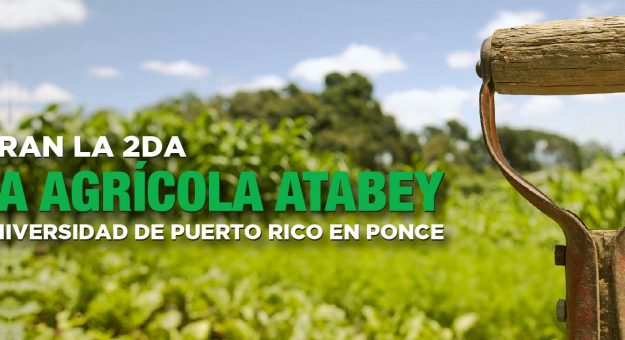 Slider atabey PONCE-01