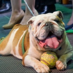 Graduación RUM 2019