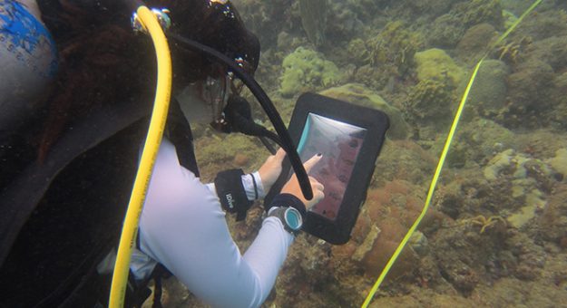 Estudiantes doctorales crean aplicación para identificar peces
