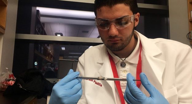 Participantes del Proyecto SEED de la Facultad de Ciencias Naturales de la UPR-RP