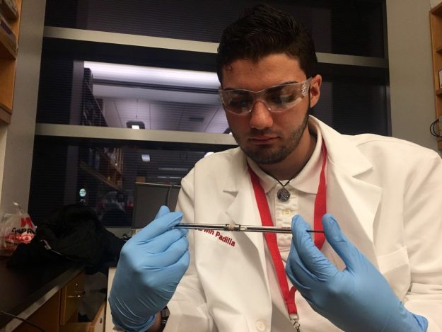 Participantes del Proyecto SEED de la Facultad de Ciencias Naturales de la UPR-RP Participantes del Proyecto SEED de la Facultad de Ciencias Naturales de la UPR-RP