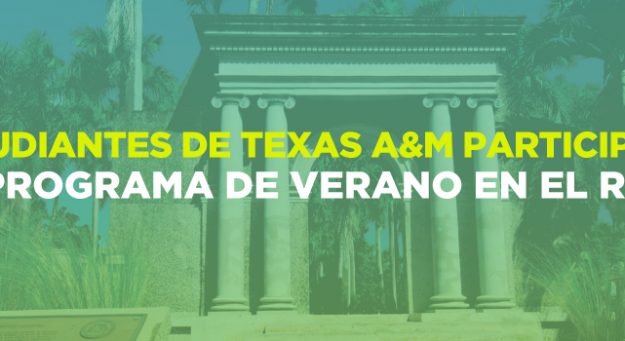 Slider verano en el RUM