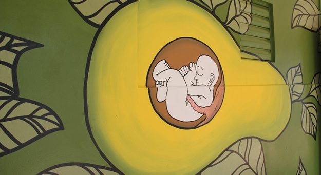 Rinden pintoresco tributo al agricultor puertorriqueño en la UPR en Utuado