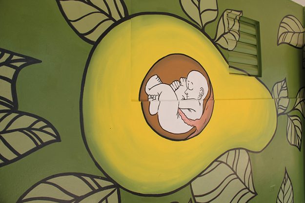 Rinden pintoresco tributo al agricultor puertorriqueño en la UPR en Utuado Rinden pintoresco tributo al agricultor puertorriqueño en la UPR en Utuado