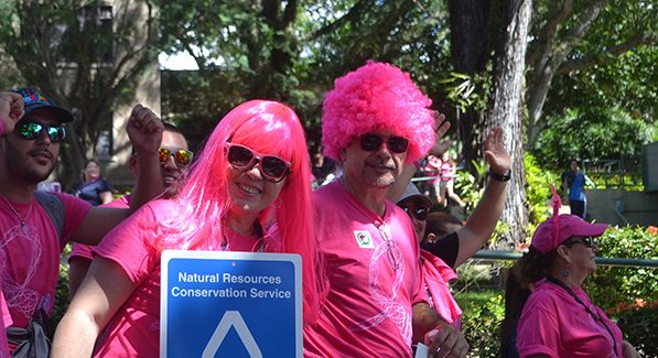 Marcha Rosada RUM 2016