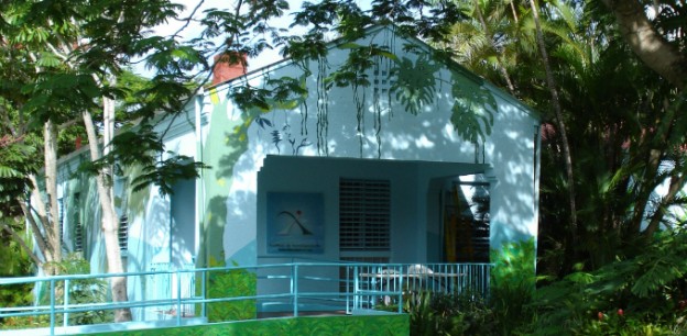 Instituto de Investigaciones Interdisciplinarias UPR-Cayey Instituto de Investigaciones Interdisciplinarias UPR-Cayey