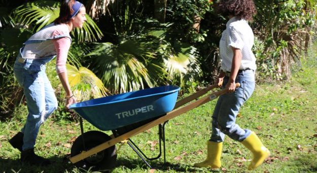 Movimiento Agroecológico Estudiantil