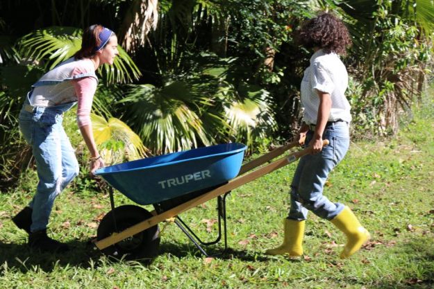 Movimiento Agroecológico Estudiantil Movimiento Agroecológico Estudiantil
