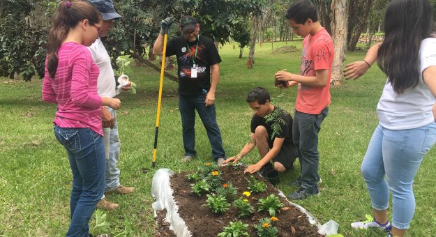 Mercado Agrícola y Artesanal