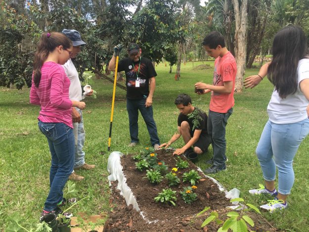 Mercado Agrícola y Artesanal Mercado Agrícola y Artesanal