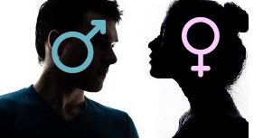 Perspectiva de género