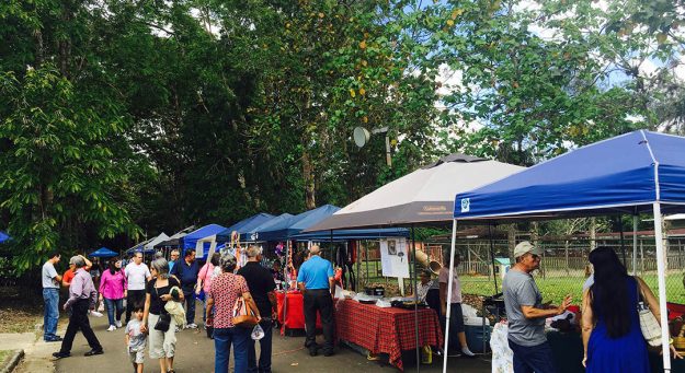 El Mercado Agrícola y Artesanal de la UPR-Cayey se lleva a cabo en el Parque de las Verdes Sombras del recinto.