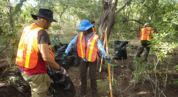 UPR Aguadilla comienza a colaborar en proyecto de restauración de hábitat de iguana en Isla de Mona