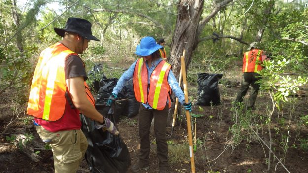 UPR Aguadilla comienza a colaborar en proyecto de restauración de hábitat de iguana en Isla de Mona UPR Aguadilla comienza a colaborar en proyecto de restauración de hábitat de iguana en Isla de Mona