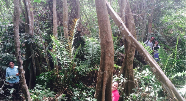 Reserva Natural Punta Tuna en Maunabo