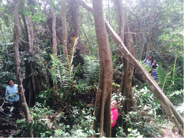 Reserva Natural Punta Tuna en Maunabo Reserva Natural Punta Tuna en Maunabo