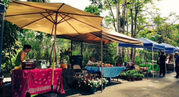 Mercado Agrícola y Artesanal de la UPR-Cayey