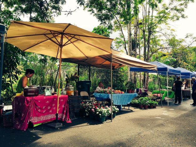 Mercado Agrícola y Artesanal de la UPR-Cayey Mercado Agrícola y Artesanal de la UPR-Cayey