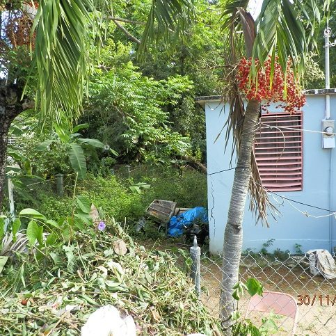 Imagen Propiedad UPR