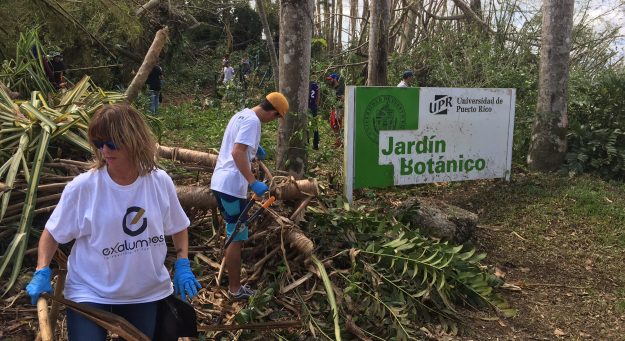 UPR SE LEVANTA - Jardín Botánico UPR