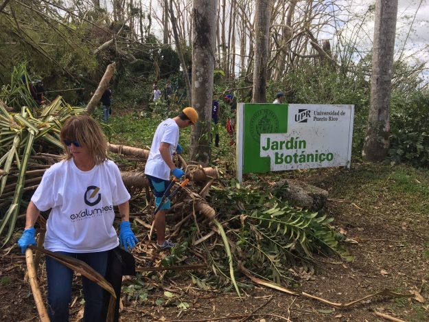 UPR SE LEVANTA – Jardín Botánico UPR UPR SE LEVANTA - Jardín Botánico UPR