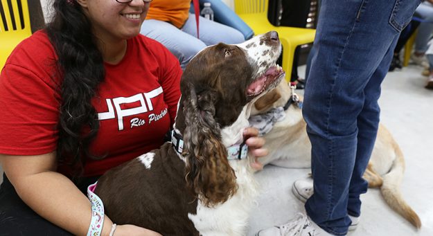 Universitarios liberan el estrés con canes de terapia