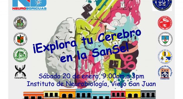 Explora tu cerebro en la SanSe Enero 2018
