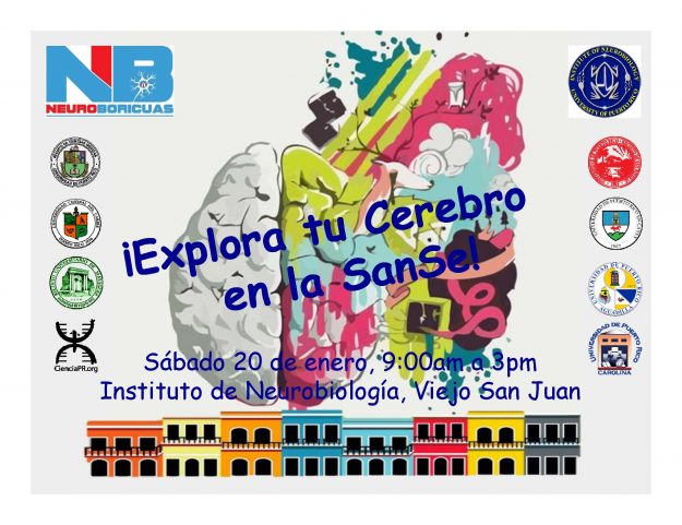 Explora tu cerebro en la SanSe Enero 2018 Explora tu cerebro en la SanSe Enero 2018