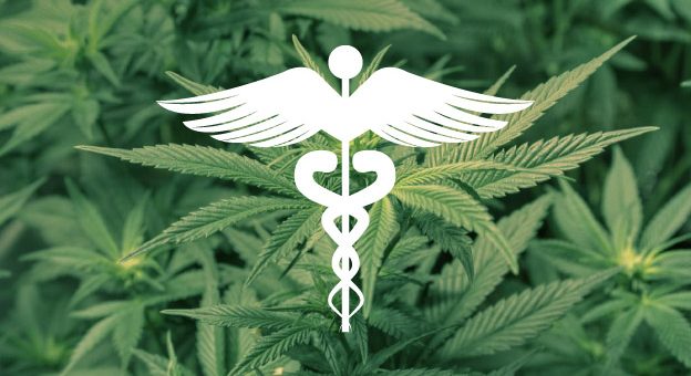 Ciencias Médicas celebrará Foro para Pacientes que usan Cannabis Medicinal