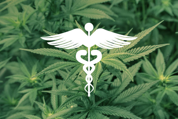 Ciencias Médicas celebrará Foro para Pacientes que usan Cannabis Medicinal Ciencias Médicas celebrará Foro para Pacientes que usan Cannabis Medicinal