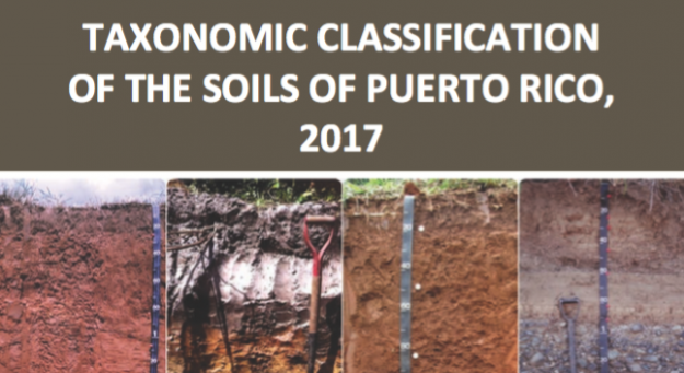 Portada de la Publicación