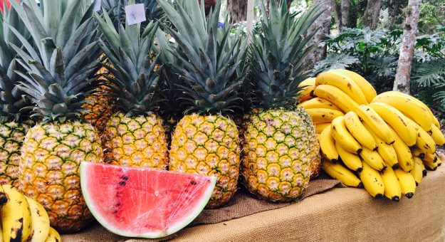 Mercado Agrícola y Artesanal de la UPR-Cayey se lleva a cabo todos los segundos sábados de mes en el Parque de las Verdes Sombras del recinto cayeyano.